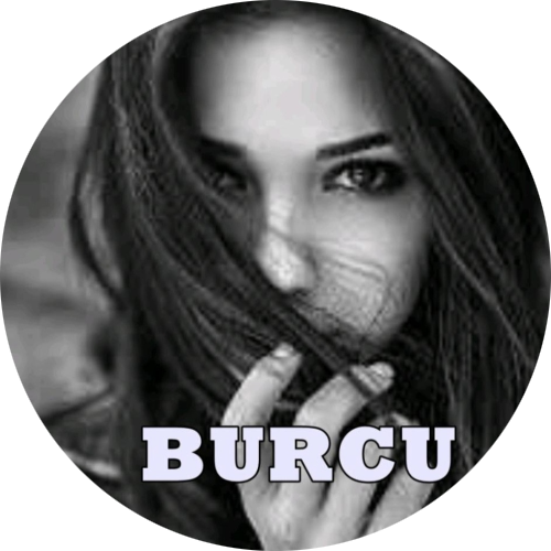 BuRCu